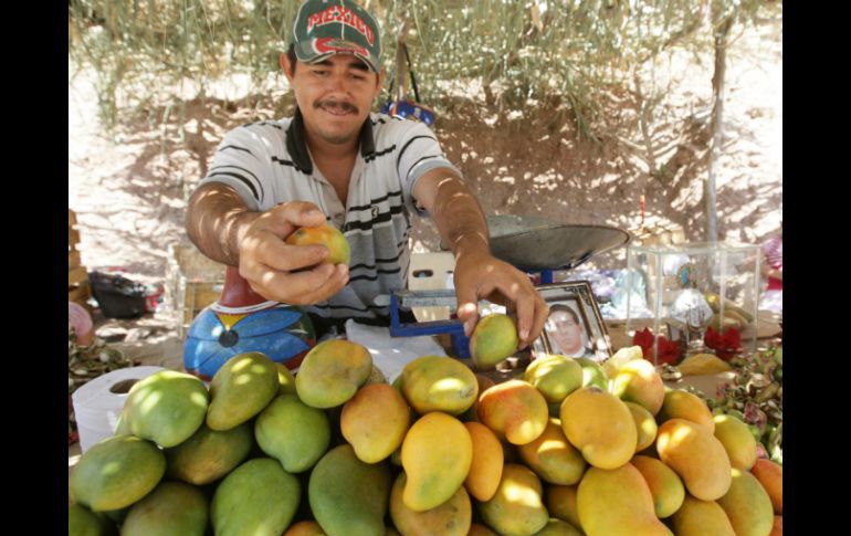 El mango es una de las frutas más ricas en fructosa. EL INFORMADOR / ARCHIVO
