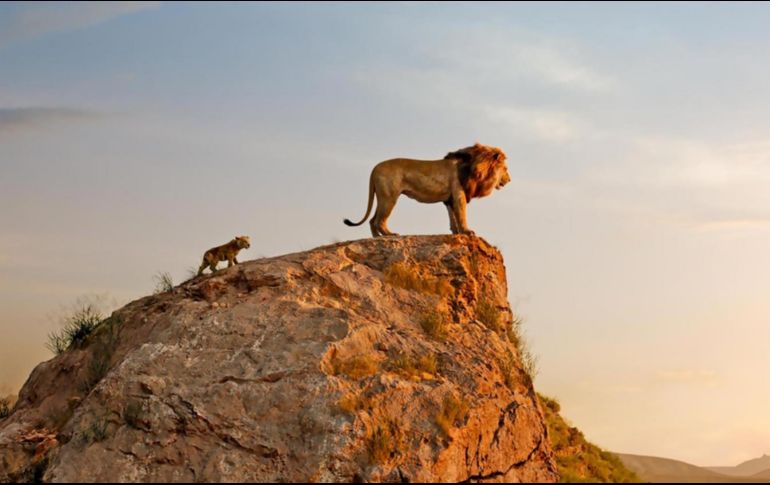 De acuerdo con Favreu, la película tiene 1490 planos renderizados, creados por animación, pero sólo uno es realmente una fotografía en África. FACEBOOK / The Lion King