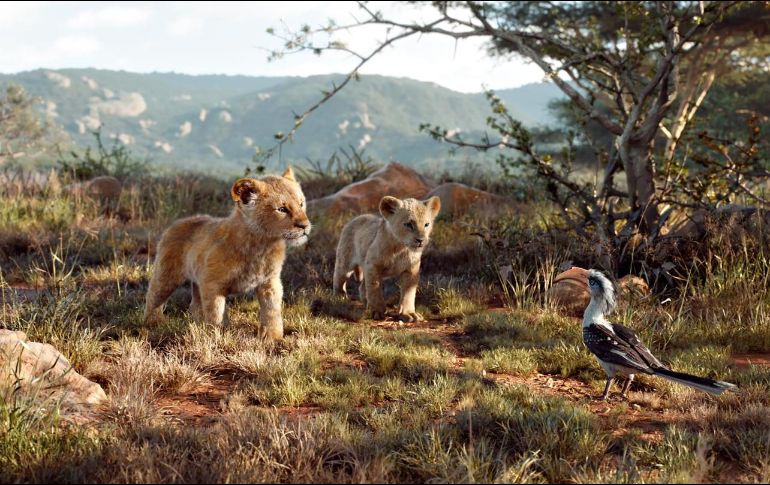 ”El Rey León” se estrenó el pasado 9 de julio y desde entonces se ha mantenido como el líder en taquilla. FACEBOOK / The Lion King
