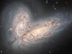 Las dos galaxias NGC 4568 y NGC 4567, presentan las primeras etapas de una fusión galáctica. ESPECIAL