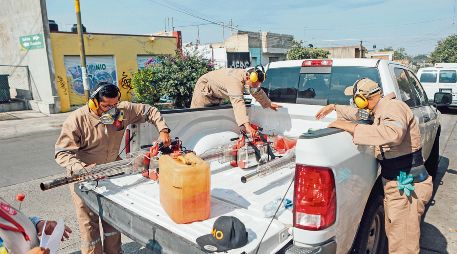 Las brigadas de la Secretaría de Salud en Jalisco tienen una campaña permanente de fumigación para evitar la propagación del mosquito transmisor de la enfermedad. EL INFORMADOR