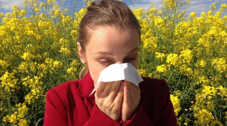 Las alergias y la sinusitis son problemas nasales, pero no son lo mismo. ESPECIAL/ Foto de Corina en Pixabay