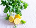 El limón, con su contenido de ácido cítrico y citrato, puede ser una adición valiosa a tu arsenal de prevención de piedras en el riñón. Unsplash
